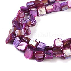 Dyed Natural Freshwater Shell Beads Strands&nbsp;SHEL-P016-01D