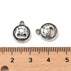 Tibetan Style Alloy Charmss&nbsp;LS-FIND-C043-037AS