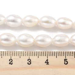 Natural Cultured Freshwater Pearl Beads Strands&nbsp;PEAR-P062-10F