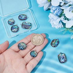 8Pcs 4 Styles 304 Stainless Steel Pave Natural Paua Shell Pendants&nbsp;STAS-UN0063-81