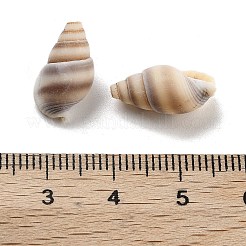Natural Spiral Shell Beads&nbsp;BSHE-G038-06B