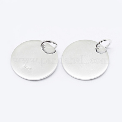 925 Sterling Silver Pendants&nbsp;STER-K167-006C-S