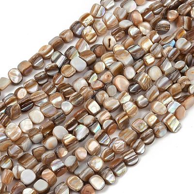 Natural Trochus Shell Beads Strands&nbsp;BSHE-Q050-01B-1