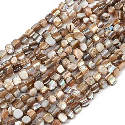 Natural Trochus Shell Beads Strands BSHE-Q050-01B-1