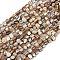 Natural Trochus Shell Beads Strands, Nuggets, Camel, 6~8x8~11x6~9mm, Hole: 1mm, about 53pcs/strand, 15.94''(40.5cm)