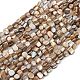 Natural Trochus Shell Beads Strands&nbsp;BSHE-Q050-01B-1