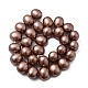 Shell Pearl Beads Strands&nbsp;BSHE-F013-01L-2