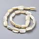 Natural Shell Beads Strands&nbsp;SSHEL-K026-01-2