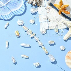 22個、11種類のスタイル、ABSプラスチック製模造バロックパールビーズ  虹メッキ  混合図形  12~23x4.5~15.5x4.8~10mm  穴：0.8~1.6mm  2個/スタイル&nbsp;FIND-CJ0005-37
