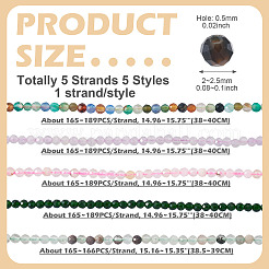 5 Strands 5 Styles Synthetic Green Goldstone & Natural Green Lodolite Quartz & Multi-Color Agate & Amethyst & Cherry Blossom Agate Beads Strands&nbsp;G-TA0003-10