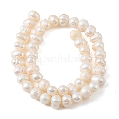 Natural Cultured Freshwater Pearl Beads Strands&nbsp;PEAR-L034-16A