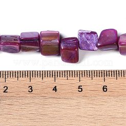 Dyed Natural Freshwater Shell Beads Strands&nbsp;SHEL-P016-01D