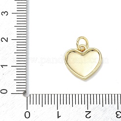 Brass with Enamel Charms&nbsp;KK-CBAD872-04G