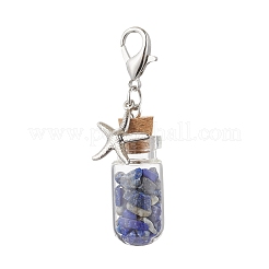 Chakra Natural Lapis Lazuli & Amethyst & Carnelian & Citrine & Garnet & Green Aventurine & Synthetic Turquoise Chips inside Glass Wishing Bottle Pendant Decoration&nbsp;HJEW-JM03310