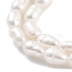 Natural Cultured Freshwater Pearl Beads Strands&nbsp;PEAR-P062-04C