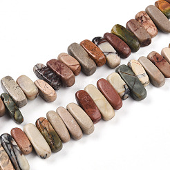 Natural Polychrome Jasper/Picasso Stone/Picasso Jasper Beads Strands&nbsp;G-T140-63