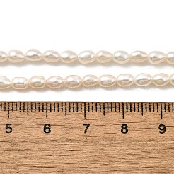 天然養殖淡水パールビーズ連売り  ライス  古いレース  3~3.5mm  穴：0.5mm  約71~80個/連  13.98''~14.37''（35.5~36.5センチメートル）&nbsp;PEAR-I007-01O-01E