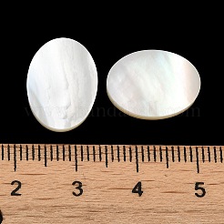 Natural White Shell Cabochons&nbsp;SSHEL-M022-03