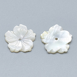 Natural White Shell Beads&nbsp;SSHEL-S260-080