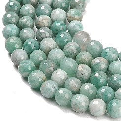 Natural Amazonite Beads Strands&nbsp;G-C280-B13-8mm
