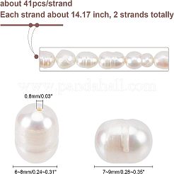 2連天然淡水養殖真珠ビーズ連  オーバル  ベージュ  8.5~12x6.5~7.5mm  穴：0.8mm  約32~39個/連  13.82インチ〜14.37インチ（35.1cm〜36.5cm）&nbsp;PEAR-NB0001-10