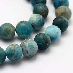 Natural Apatite Beads Strands&nbsp;X1-G-K193-6mm-12