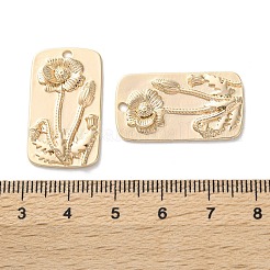 Brass Pendants&nbsp;KK-C079-11G
