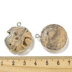 Electroplated Natural Druzy Agate Pendants&nbsp;G-A229-01