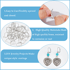 304 Stainless Steel Leverback Earring Findings&nbsp;STAS-SP0001-04A