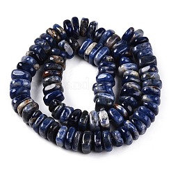 Natural Sodalite Beads Strands&nbsp;G-T141-08