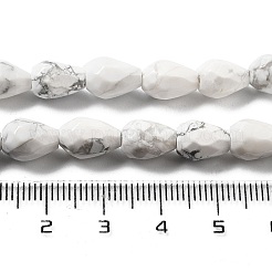 Natural Howlite Beads Strands&nbsp;G-P520-B07-01