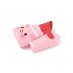 Cute Opaque Resin Cabochons&nbsp;RESI-L046-E01