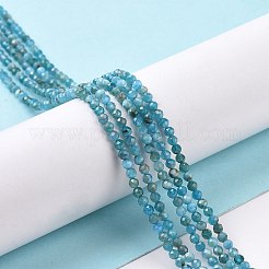 Natural Apatite Beads Strands&nbsp;X-G-E411-36-2mm-01