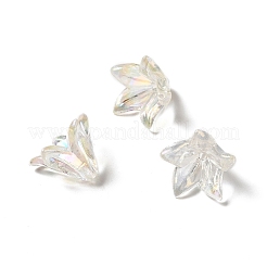 Transparent Acrylic Bead Caps&nbsp;X-OACR-H016-05