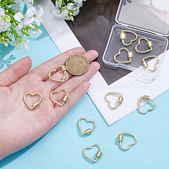 12Pcs Zinc Alloy Screw Carabiner Lock Charms&nbsp;FIND-UN0010-21