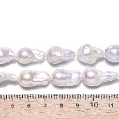 Natural Baroque Pearl Keshi Pearl Beads Strands&nbsp;PEAR-S019-02D-01