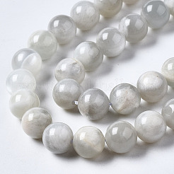Natural White Moonstone Beads Strands&nbsp;G-N328-51B-01