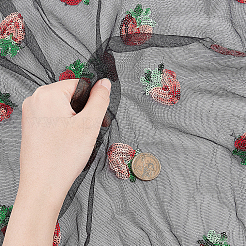 メッシュ刺繍レーストリム  縫製のための縫製  服飾材料  イチゴの模様  ブラック  64-3/8インチ（1636mm）&nbsp;OCOR-WH0073-34B