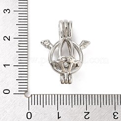 Alloy Bead Cage Pendants&nbsp;FIND-M012-01J-P