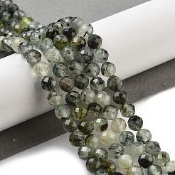 Natural Prehnite Beads Strands&nbsp;X-G-G140-A19-08