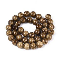 Natural Persian Jade Beads Strands&nbsp;G-A255-A02-02E