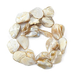 Handmade Shell Beads Strands&nbsp;PBB471-1