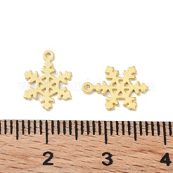 925 Sterling Silver Charms&nbsp;STER-C003-19G