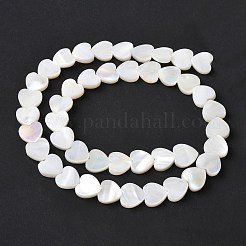 天然ホワイトシェルビーズ連売り  ハート  貝殻色  9.5~10x10~10.5x2.5~3mm  穴：0.7mm  約42個/連  14.96インチ（38cm）&nbsp;SSHEL-C013-06
