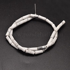 Natural Howlite Column Beads Strands&nbsp;X-G-F247-07