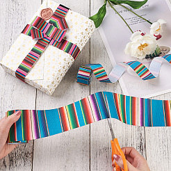 2Rolls 2 Styles Stripe Pattern Printed Polyester Grosgrain Ribbon&nbsp;OCOR-TA0001-37N