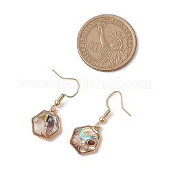 Natural Paua Shell Dangle Earrings&nbsp;EJEW-JE06274