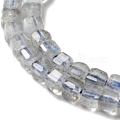 Natural Labradorite Beads Strands&nbsp;G-D470-07