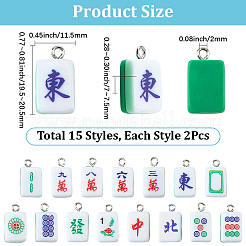 30Pcs 15 Styles Resin Pendants&nbsp;RESI-BM0001-15