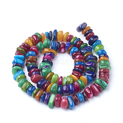 Natural Freshwater Shell Beads Strands&nbsp;SHEL-Q008-96